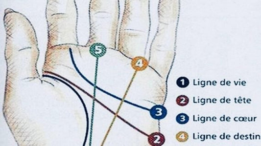 Découvrez comment lire les lignes de la main - Divinaroma