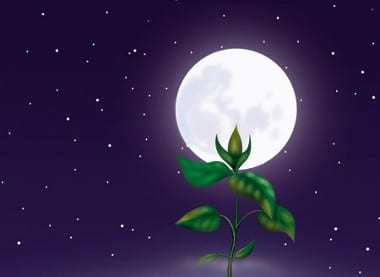 La pleine lune des Récoltes des 13-14 septembre 2019 - Divinaroma