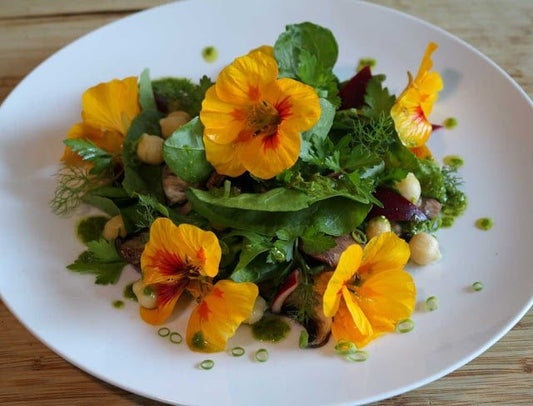 Les Bienfaits de la Capucine : Un Trésor Coloré de Santé et de Saveurs - Divinaroma