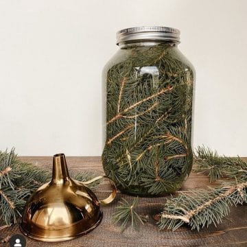 Recette Vinaigre Blanc et votre Sapin - Divinaroma