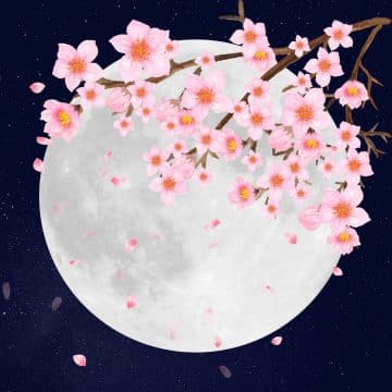Rituel pour la Pleine Lune des Fleurs - Divinaroma