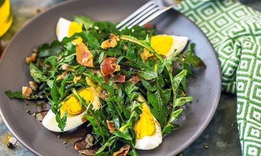 Salade aux saveurs sauvages - Divinaroma