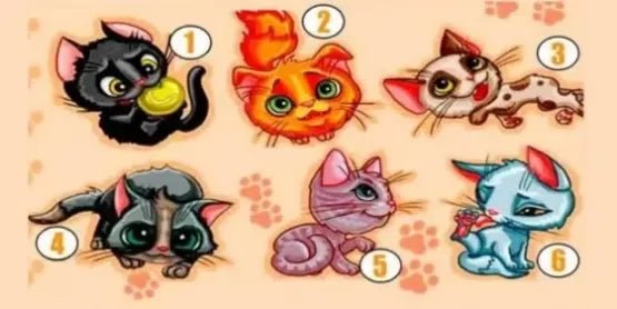Une petite guidance avec Les Chats - Divinaroma