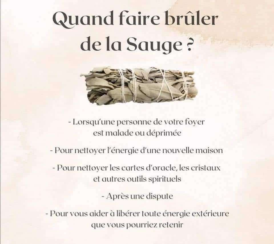 Bâton de fumigation - Sauge Blanche - Divinaroma