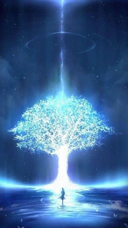 Conférence - Elever son taux vibratoire - Divinaroma