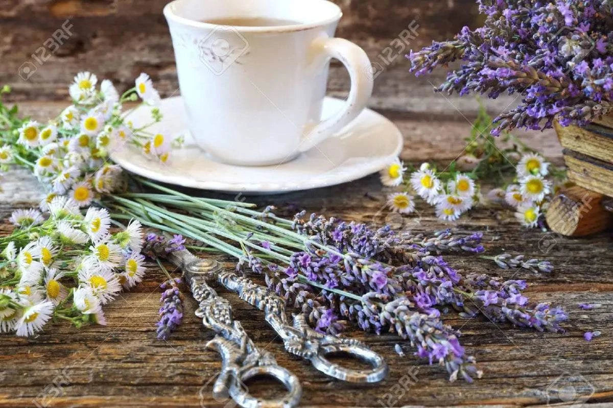 Spell Jar Anxiété - Divinaroma